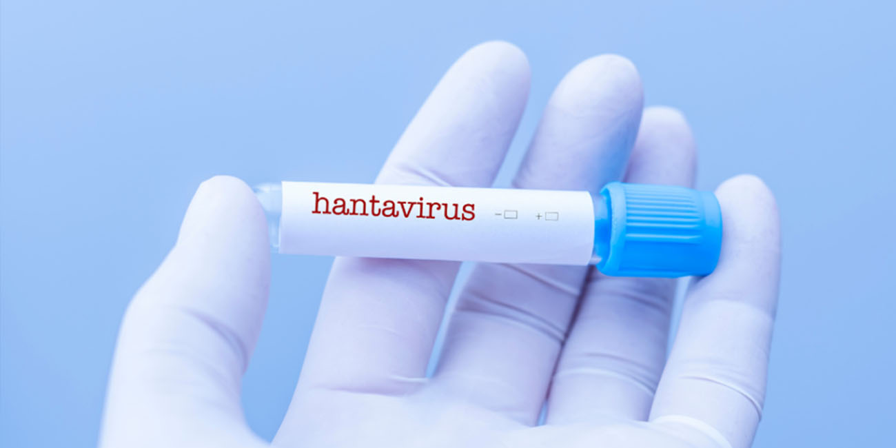 hastavirus2